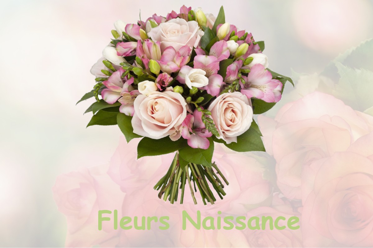 fleurs naissance LUCENAY-LES-AIX