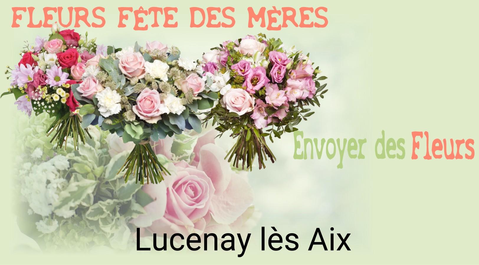 Bouquet de Fête des Mères livré à Lucenay-lès-Aix